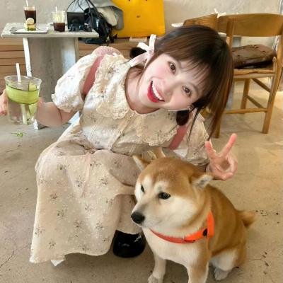 哈莉·奎茵第四季